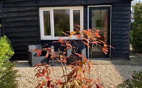 Veluwse Bos en Heide Studio